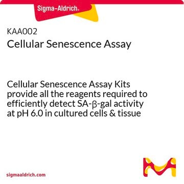 Cellular Senescence Assay Cellular Senescence Assay Kits provide all the reagents required to efficiently detect SA-&#946;-gal activity at pH 6.0 in cultured cells &amp; tissue sections.