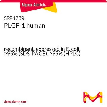 PLGF-1 human recombinant, expressed in E. coli, &#8805;95% (SDS-PAGE), &#8805;95% (HPLC)