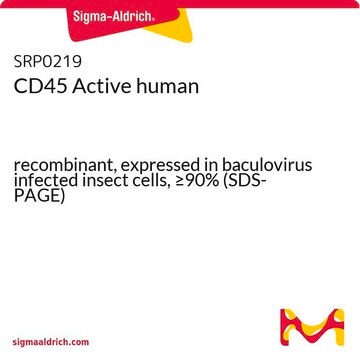 CD45 Active human recombinant, expressed in baculovirus infected insect cells, &#8805;90% (SDS-PAGE)