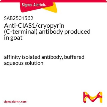 Anti-CIAS1/cryopyrin (C-terminal) antibody produced in goat affinity isolated antibody, buffered aqueous solution