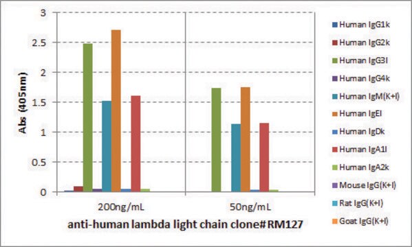 Anti-Human Lambda Light Chain-Biotin antibody, Rabbit monoclonal recombinant, expressed in HEK 293 cells, clone RM127, purified immunoglobulin