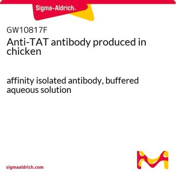 Anti-TAT antibody produced in chicken affinity isolated antibody, buffered aqueous solution