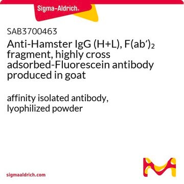 Anti-Hamster IgG (H+L), F(ab&#8242;)2 fragment, highly cross adsorbed-Fluorescein antibody produced in goat affinity isolated antibody, lyophilized powder