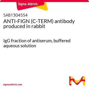 ANTI-FIGN (C-TERM) antibody produced in rabbit IgG fraction of antiserum, buffered aqueous solution