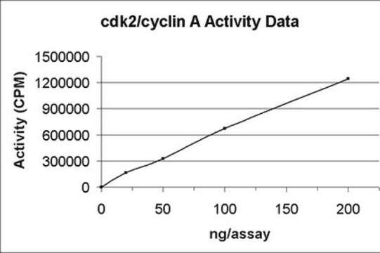 Cdk2/Cyclin A Protein, active, 10 &#181;g Active, C-terminal His6-tagged human full length Cdk2 &amp; N-terminal GST-tagged human full length Cyclin A, for use in Kinase Assays.