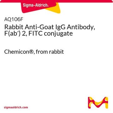 Rabbit Anti-Goat IgG Antibody, F(ab&#8242;) 2, FITC conjugate Chemicon&#174;, from rabbit