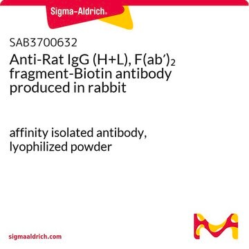 Anti-Rat IgG (H+L), F(ab&#8242;)2 fragment-Biotin antibody produced in rabbit affinity isolated antibody, lyophilized powder