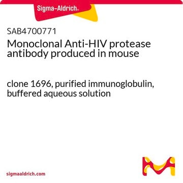 Monoclonal Anti-HIV protease antibody produced in mouse clone 1696, purified immunoglobulin, buffered aqueous solution