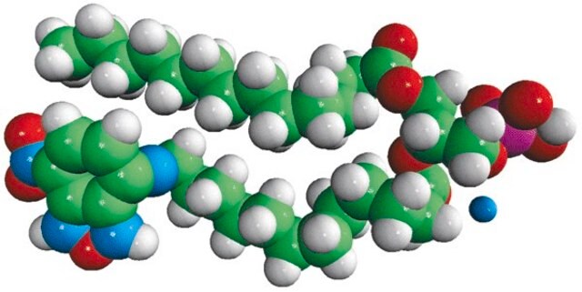 14:0-12:0 NBD PA Avanti Research&#8482; - A Croda Brand 810172P, powder