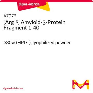 [Arg13] Amyloid-&#946;-Protein Fragment 1-40 &#8805;80% (HPLC), lyophilized powder