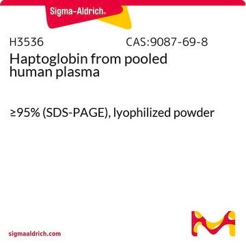 Haptoglobin from pooled human plasma &#8805;95% (SDS-PAGE), lyophilized powder