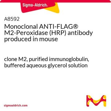 Monoclonal ANTI-FLAG&#174; M2-Peroxidase (HRP) antibody produced in mouse clone M2, purified immunoglobulin, buffered aqueous glycerol solution