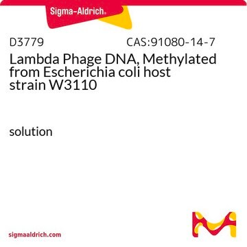 Lambda Phage DNA, Methylated from Escherichia coli host strain W3110 solution