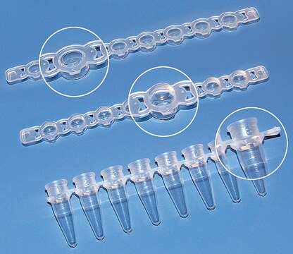 BRAND&#174; PCR tubes and caps, strips of 8 flat caps