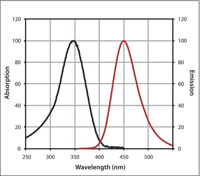 Anti-Rabbit IgG (H+L), CF&#8482; 350 antibody produced in goat ~2&#160;mg/mL, affinity isolated antibody