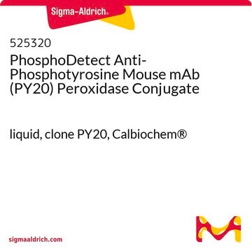 PhosphoDetect Anti-Phosphotyrosine Mouse mAb (PY20) Peroxidase Conjugate liquid, clone PY20, Calbiochem&#174;