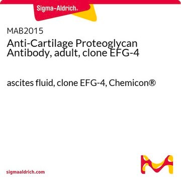 Anti-Cartilage Proteoglycan Antibody, adult, clone EFG-4 ascites fluid, clone EFG-4, Chemicon&#174;