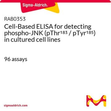 Cell-Based ELISA for detecting phospho-JNK (pThr183 / pTyr185) in cultured cell lines 96&#160;assays