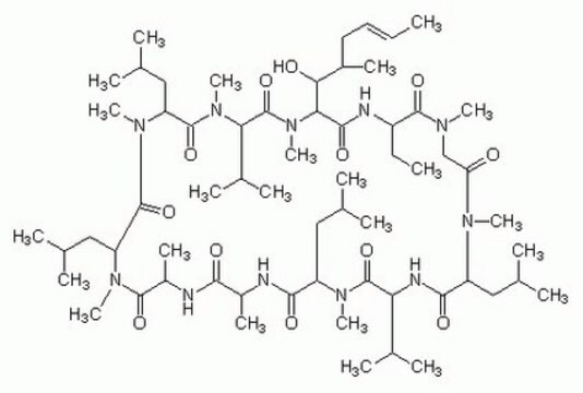 Cyclosporin A, Tolypocladium inflatum Cyclosporin A, CAS 59865-13-3, is an immunosuppressant that induces apoptosis in rat thymocytes and in the murine B cell lymphoma cell line, WEH1-231. Induces cardiomyocytes formation from ESCs.