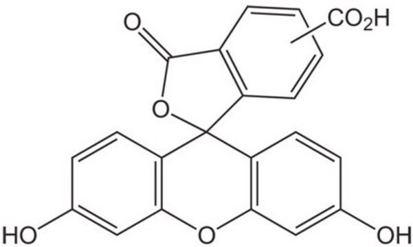 5(6)-Carboxyfluorescein Novabiochem&#174;