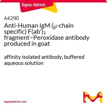 Anti-Human IgM (&#956;-chain specific) F(ab&#8242;)2 fragment&#8722;Peroxidase antibody produced in goat affinity isolated antibody, buffered aqueous solution