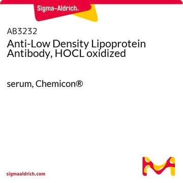 Anti-Low Density Lipoprotein Antibody, HOCL oxidized serum, Chemicon&#174;