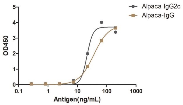 Rabbit Anti-Alpaca IgG2c HRP Alpaca Heavy chain only Antibody recombinant Alpaca(VHH) Nano antibody