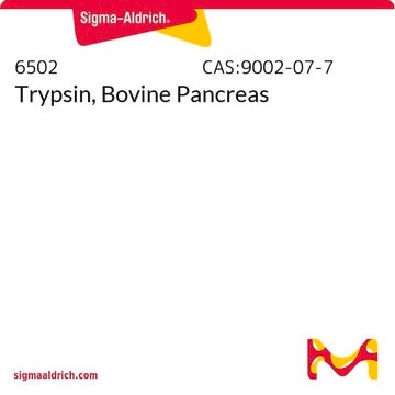 Trypsin, Bovine Pancreas