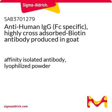 Anti-Human IgG (Fc specific), highly cross adsorbed-Biotin antibody produced in goat affinity isolated antibody, lyophilized powder