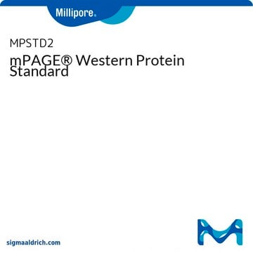 mPAGE&#174; Western Protein Standard