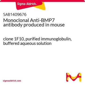 Monoclonal Anti-BMP7 antibody produced in mouse clone 1F10, purified immunoglobulin, buffered aqueous solution