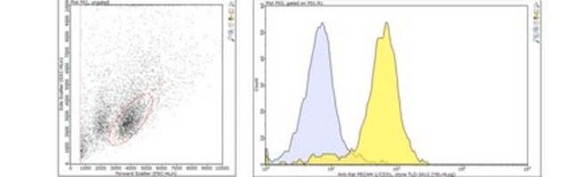 Anti-PECAM-1 (CD31) Antibody, clone TLD-3A12 clone TLD-3A12, from mouse