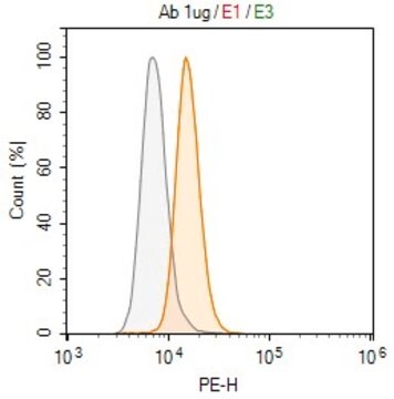 Anti-KLRG1 Antibody, clone 1H10 ZooMAb&#174; Rabbit Monoclonal recombinant, expressed in HEK 293 cells