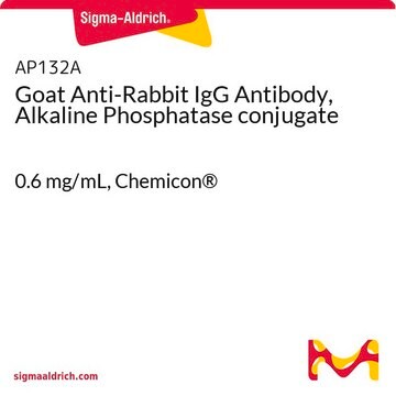 Goat Anti-Rabbit IgG Antibody, Alkaline Phosphatase conjugate 0.6&#160;mg/mL, Chemicon&#174;