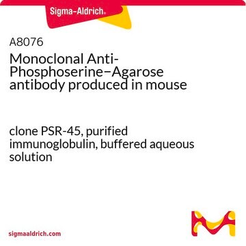 Monoclonal Anti-Phosphoserine&#8722;Agarose antibody produced in mouse clone PSR-45, purified immunoglobulin, buffered aqueous solution