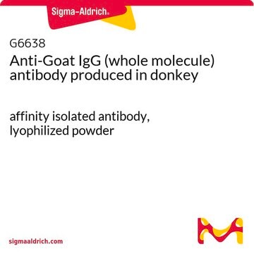 Anti-Goat IgG (whole molecule) antibody produced in donkey affinity isolated antibody, lyophilized powder