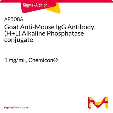 Goat Anti-Mouse IgG Antibody, (H+L) Alkaline Phosphatase conjugate 1&#160;mg/mL, Chemicon&#174;