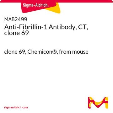 Anti-Fibrillin-1 Antibody, CT, clone 69 clone 69, Chemicon&#174;, from mouse