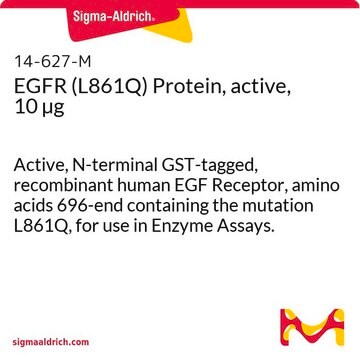 EGFR (L861Q) Protein, active, 10 &#181;g Active, N-terminal GST-tagged, recombinant human EGF Receptor, amino acids 696-end containing the mutation L861Q, for use in Enzyme Assays.