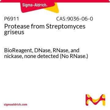 Protease from Streptomyces griseus BioReagent, DNase, RNase, and nickase, none detected (No RNase.)