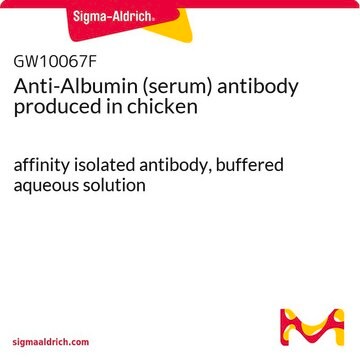 Anti-Albumin (serum) antibody produced in chicken affinity isolated antibody, buffered aqueous solution