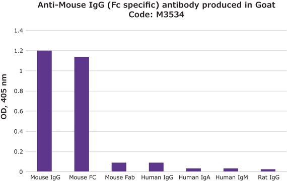 Anti-Mouse IgG (Fc specific) antibody produced in goat 2.0&#160;mg/mL, affinity isolated antibody