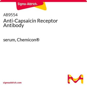 Anti-Capsaicin Receptor Antibody serum, Chemicon&#174;