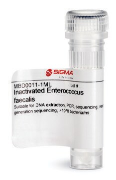 Inactivated Enterococcus faecalis Suitable for DNA extraction, PCR, sequencing, next generation sequencing, &gt;10^8 bacteria/ml