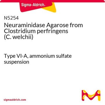 Neuraminidase Agarose from Clostridium perfringens (C.&nbsp;welchii) Type VI-A, ammonium sulfate suspension