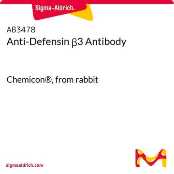 Anti-Defensin &#946;3 Antibody Chemicon&#174;, from rabbit