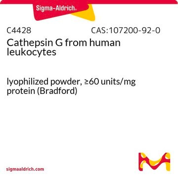 Cathepsin G from human leukocytes lyophilized powder, &#8805;60&#160;units/mg protein (Bradford)