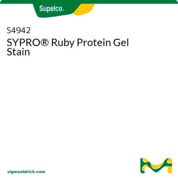 SYPRO&#174; Ruby Protein Gel Stain