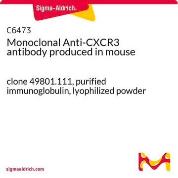 Monoclonal Anti-CXCR3 antibody produced in mouse clone 49801.111, purified immunoglobulin, lyophilized powder