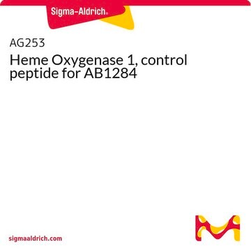 Heme Oxygenase 1, control peptide for AB1284